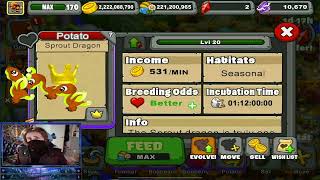 How to get the Bloatato Dragon on DragonVale
