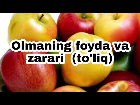 Video: Olmaning Foydasi Va Zarari