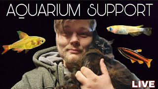 Aquarium Support + ( News on An Epic Sale!) Q&A of All Things Fishy! & Fishroom Update Walk.