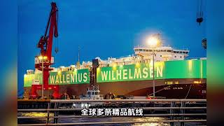 整车重工货物出口，滚装船高效运输，一站式物流，助力国货扬帆出海