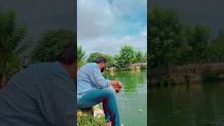 Ep 29 Soulful Fish Feeding