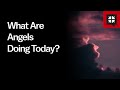 What Are Angels Doing Today? // Ask Pastor John