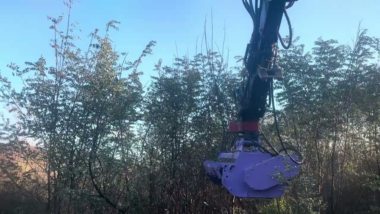 #02굴삭기 #드림트리예초기 #잡목제거 #잡목파쇄