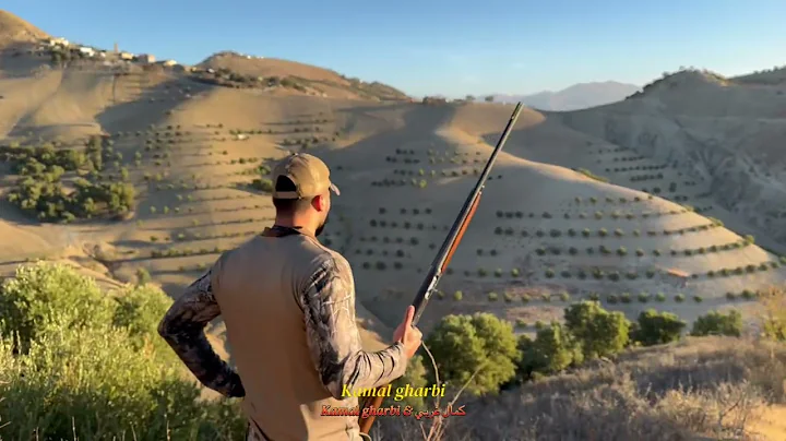 Chasse perdrix et lièvre ou maroc 2025/2026