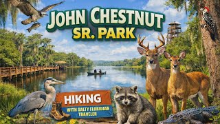 Hiking John Chesnut Sr. Park 🌿 Trails, Wildlife Encounters & Lake Tarpon Views!