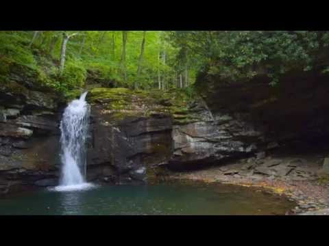 Upper Waterfalls of Seneca Creek - falling leaves by Jonathan Jessup