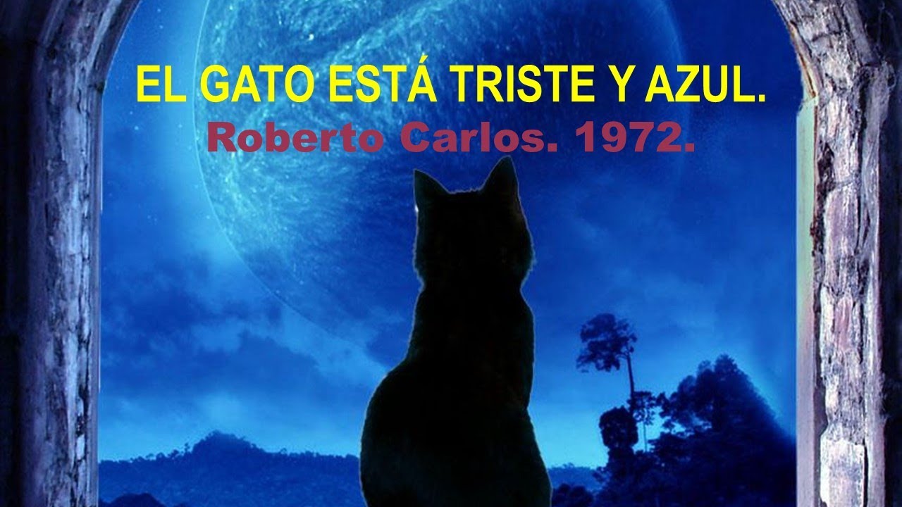 El gato triste y azul - YouTube