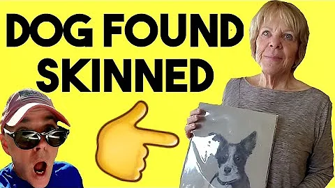Exclusive Interview. Her DOG found SKINNED! Moscow...