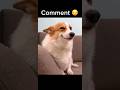 Your DOG if you…pt.3 #dog #puppy #cutedog #viral #blowup