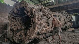 FULL HORROR MODE! The World’s Largest Sawmill Hit by Brutal Log Impact—Unbelievable