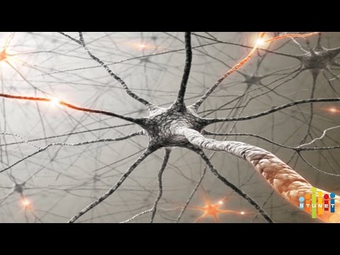 სტუ-ს კიბერნეტიკის ინსტიტუტი