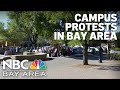 Propalestinian protests continue to grow at bay area universities