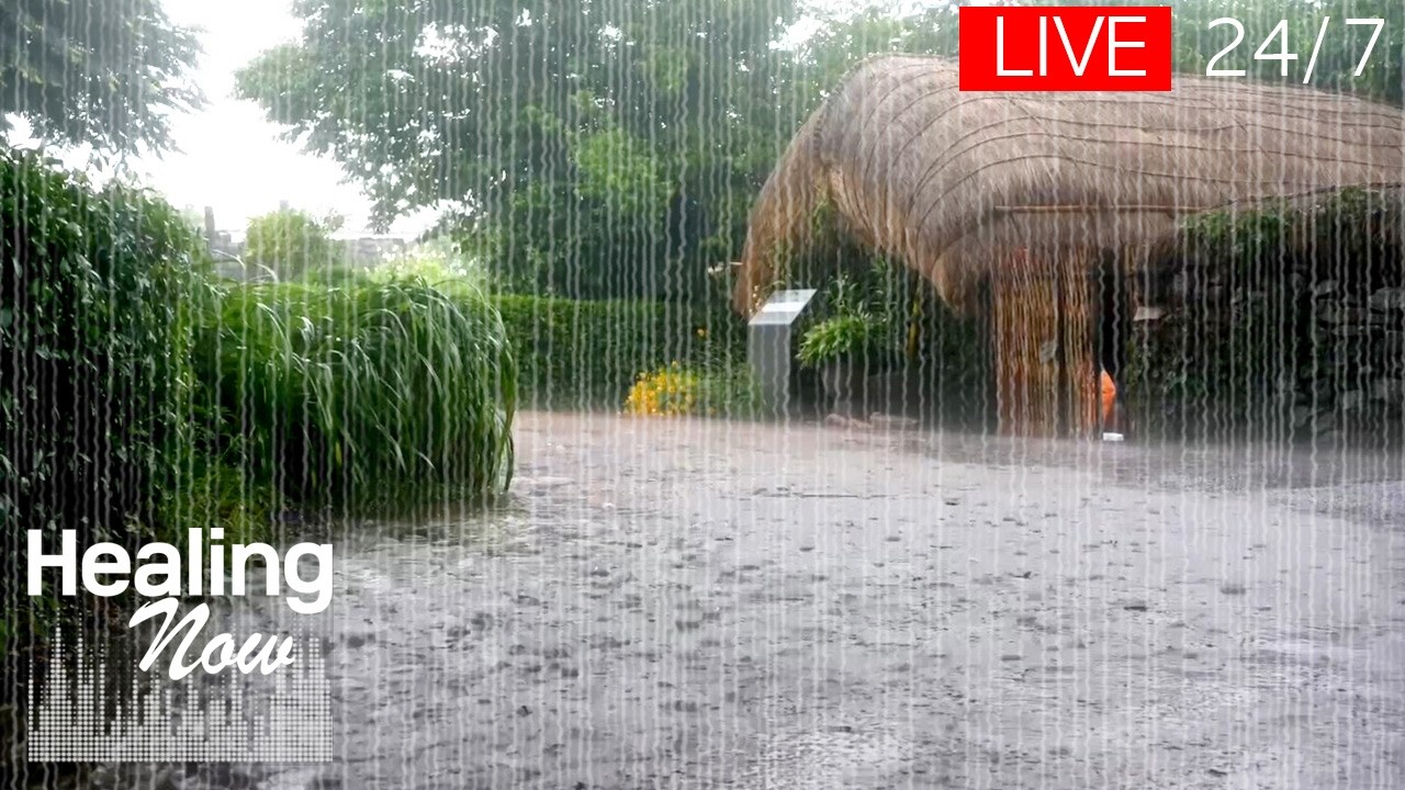 [🔴В прямом эфире] ASMR-звук сильного дождя, который поможет вам заснуть за 5 минут 💤 Белый шум