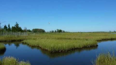 Windows 7 Tutorial - Change background picture