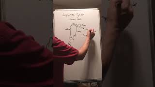 Mr C General Science 15 part 1