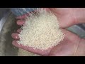 Mini rice milling machine broken rice separatorcorn crackdestoner 4 functions in 1 machine 