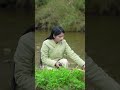 Traditional Chinese Handmade | Cooking Wild Vegetables in a Fresh Bamboo Tube by the Stream