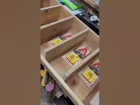 Rat Traps in Chicken Coop! - Hq2