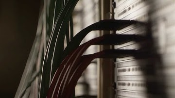 LESSON 10 | PLUG-INS & PROCESSING |  AUDIO ENGINEERING & MUSIC PRODUCING