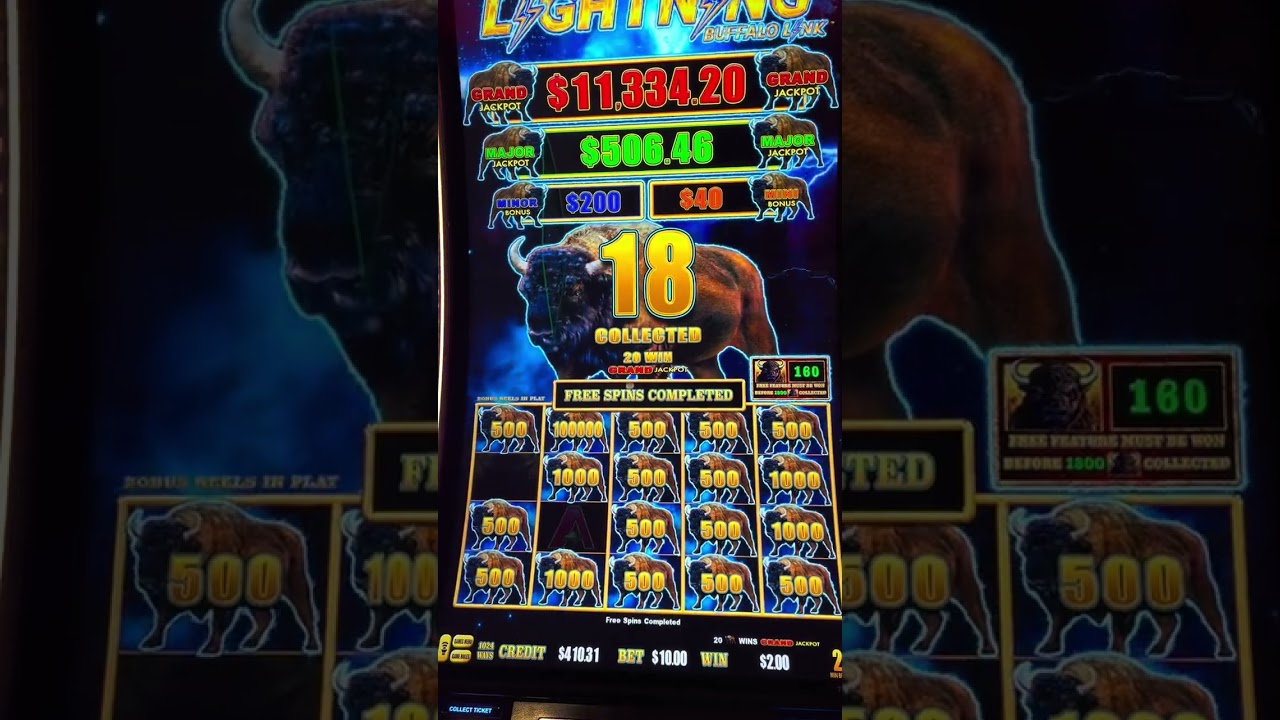 casino 999 thomo truc tiep HUGE BUFFALO DROPS !! LIGHTNING BUFFALO LINK JACKPOT HANDPAY AT YAAMAVA CASINO