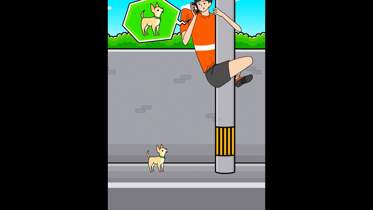 Giant boy is afraid of dogs 😰 chihuahua 