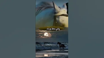 رب العباد إذا واهب المنشد احمد حسن الاقصري 