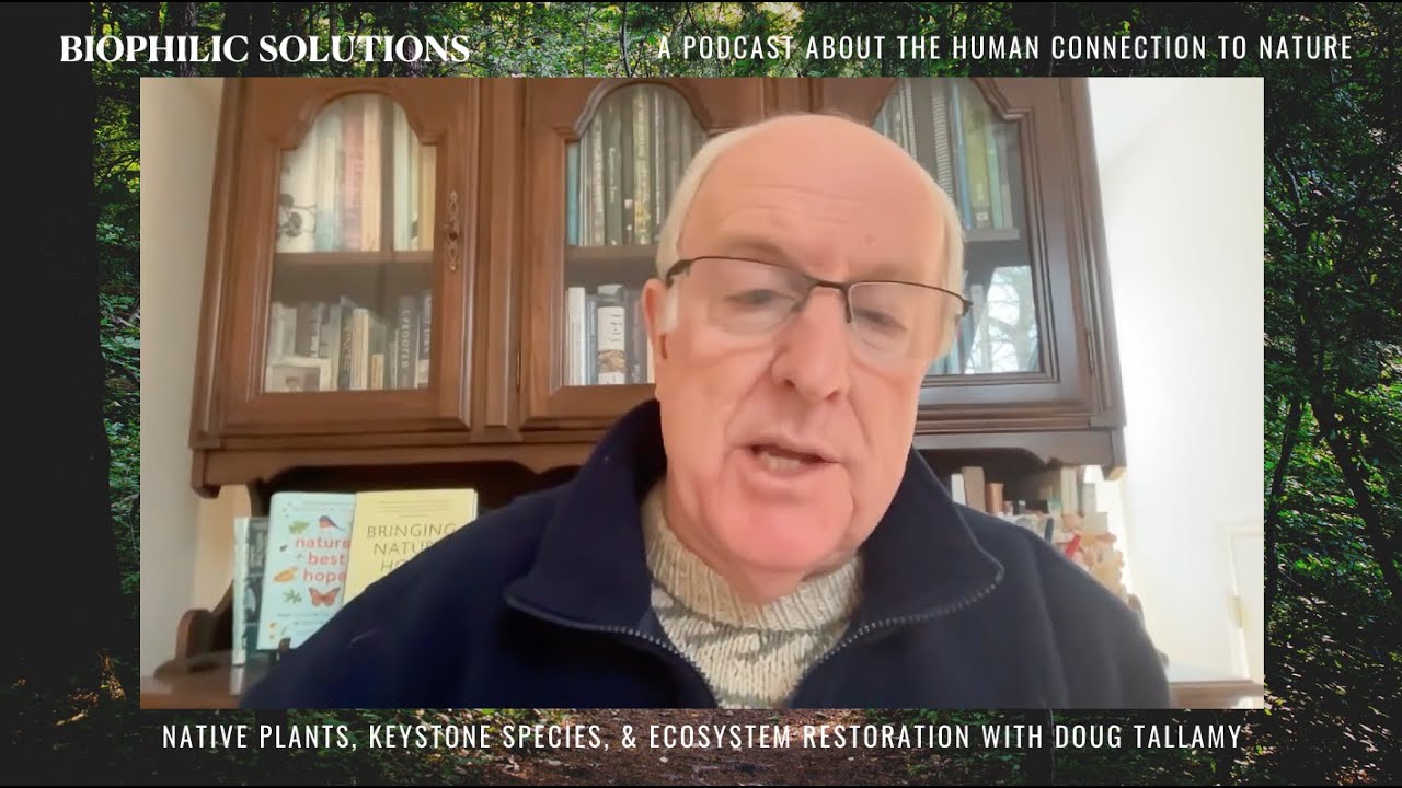 Doug Tallamy | Native Plants, Keystone Species, and Ecosystem Restoration | Biophilic Solutions