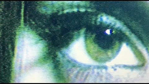 DEATH IN VEGAS - HONEY (Official Video)