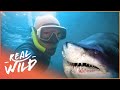 From Hunting Sharks, To Saving Them!| Tales Of A Shark Hunter | Real Wild Documentary