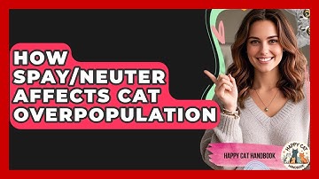 How Spay/Neuter Affects Cat Overpopulation - Happy Cat Handbook
