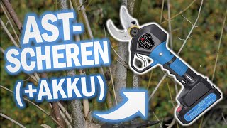 Beste AKKU ASTSCHEREN | Top 3 Akku Gartenscheren Vergleich