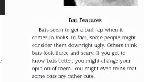 Reading a-z level O(Bats)