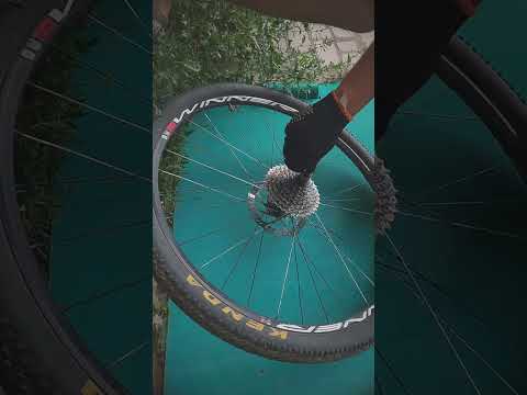 Ремонт велосипеда 🚴 Замена спицы колёса. #shorts #bicycle