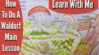 WHAT IS A WALDORF LESSON LIKE | BOTANY UNIT STUDY | HOMESCHOOL | HOW TO DO A WALDORF MAIN LESSON WHAT IS A WALDORF LESSON LIKE | BOTANY UNIT STUDY | HOMESCHOOL | HOW TO DO A WALDORF MAIN LESSON