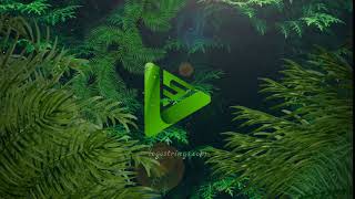 Jungle Logo Reveal