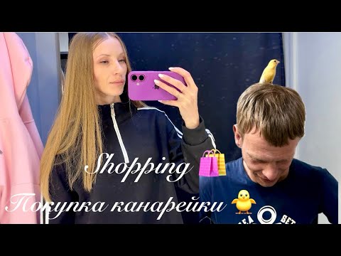 SHOPPING 🛍️ with my daughter! Went to buy a CANARY - MALE CANARY with my husband! VLOG
