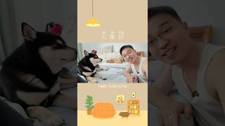 Dog lying on the bed in easy Chinese#chineseforbeginners #pets #chineselearning #learnchinese #中文学习