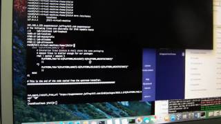 Celebrity Puppet Enterprise Master Install agents on nodes success video 2 Net Worth