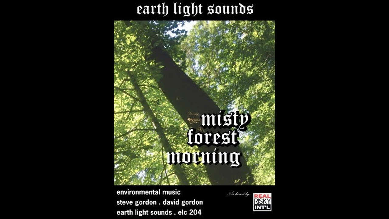 Steve Gordon ● David Gordon – Misty Forest Morning [1982] (Full Cassette)