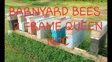 2 Frame Queen Mating Nuc What Are They For And Plans To Make Them