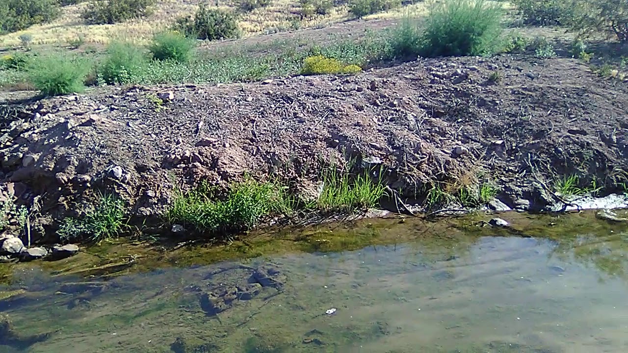 Exploring across salt River in Tempe Arizona