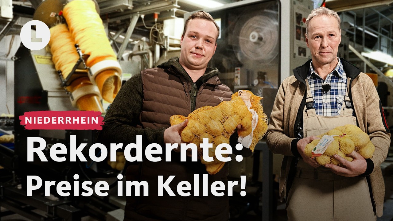 Kartoffel-Fabrik im Check: Was dein Kartoffelpreis mit dieser Halle zu tun hat
