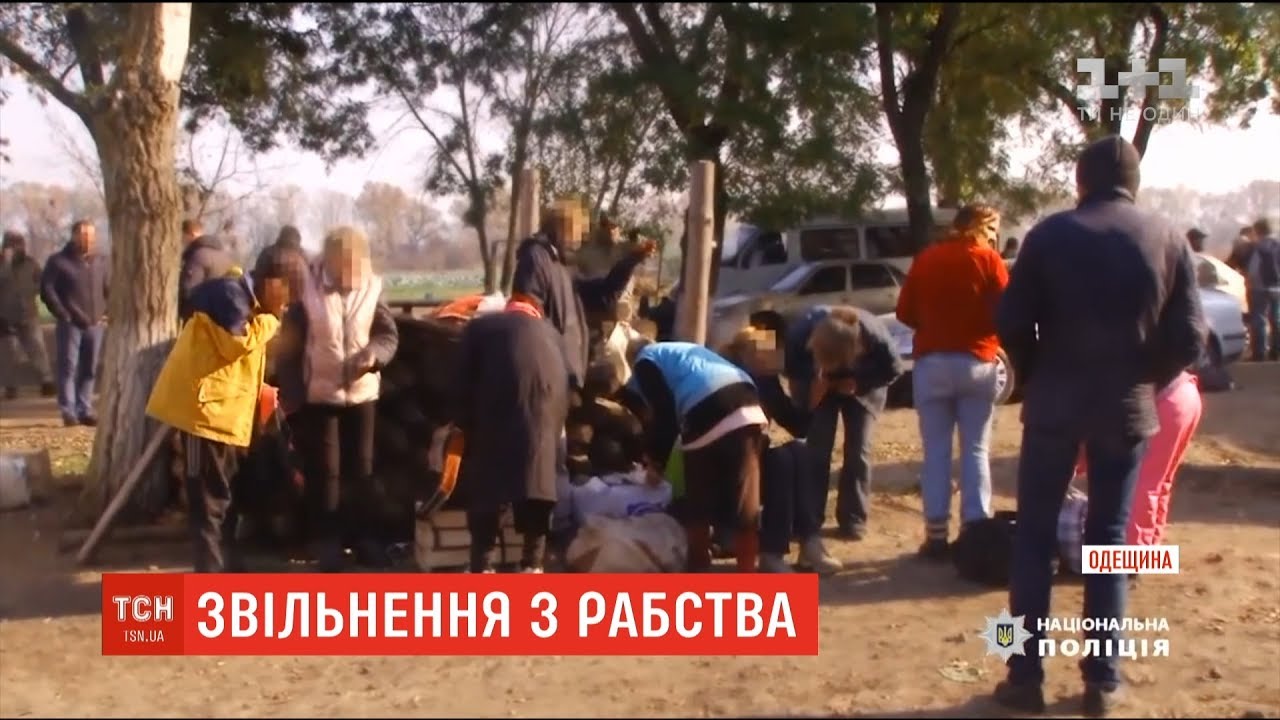 Майже сотню людей звільнили з рабства поліцейські на Одещині