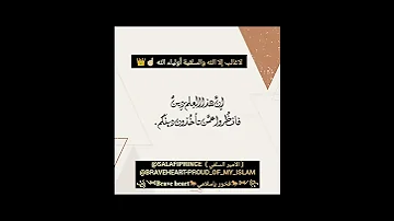 مهتدي من التشيع عراقي يعزي ويدافع عن ربيع قلوب السلفية المدخلي والرد لكذبهم في إحتلال العراق 