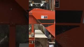 Sawing 14th Board from pt3 Poplar too big to saw Sawing 14th Board from pt3 Poplar too big to saw