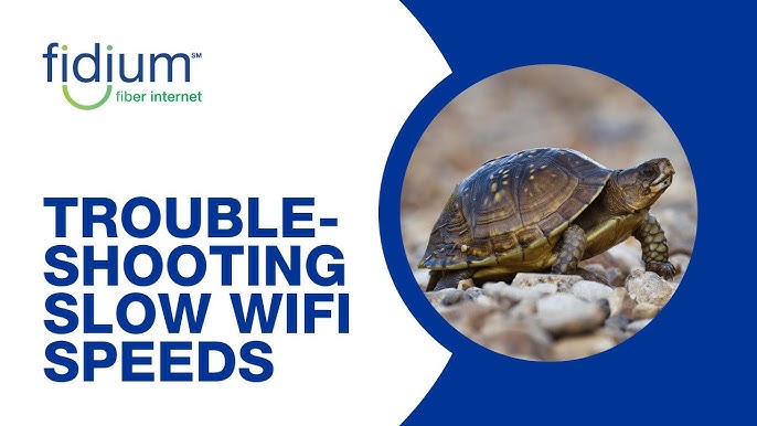 Troubleshooting Slow Internet: Easy Fixes to Boost Your Speed Now