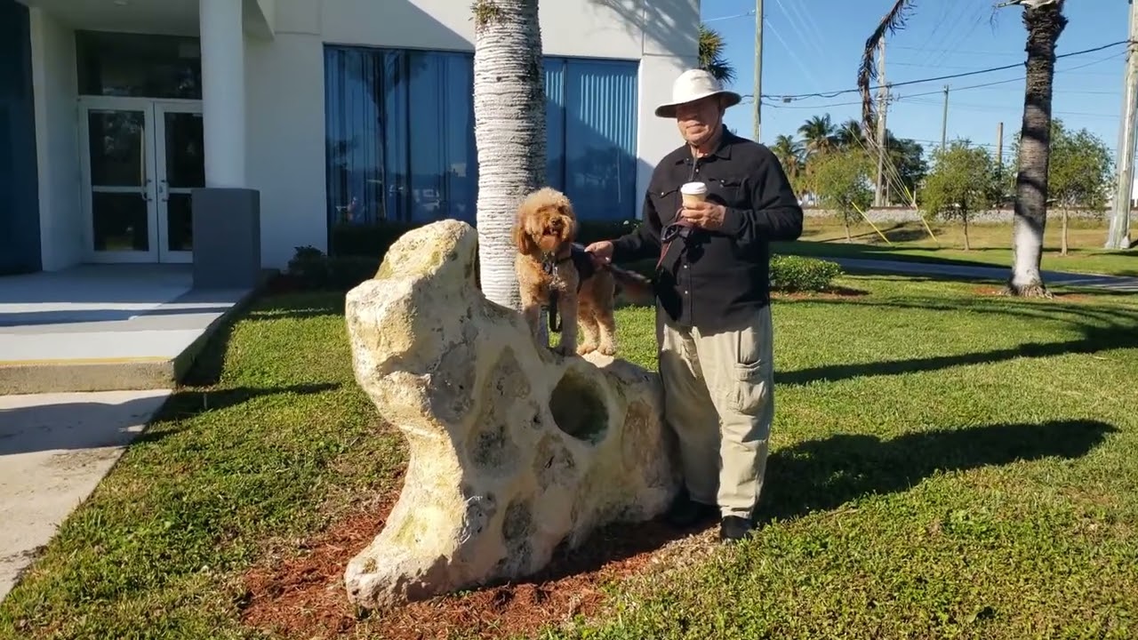 Chelsea climbing on rocks at the Pompano Beach Community center green market
