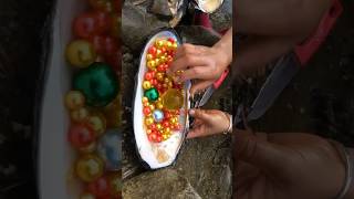 Mutiara Kerang Yang Indah