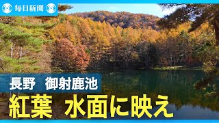 紅葉水面に映え　御射鹿池　長野県茅野市