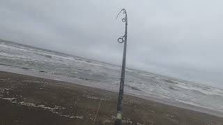 Stripes Fishing in NorthCal # Van Staal VR 50